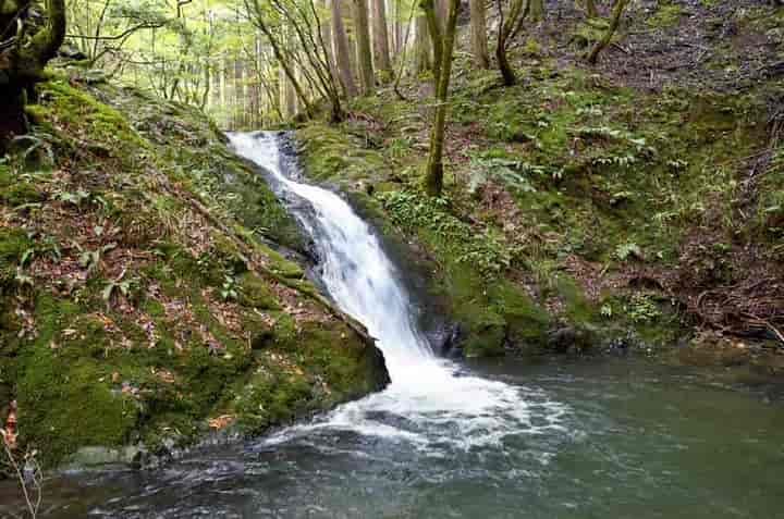 �����s����E��i��